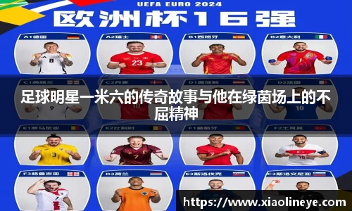 足球明星一米六的传奇故事与他在绿茵场上的不屈精神